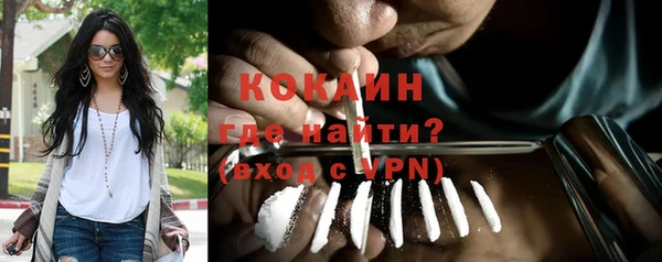 мдпв Пестово