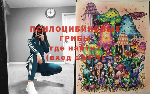 марки lsd Пересвет