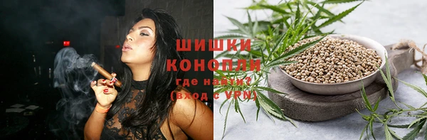 мдпв Пестово
