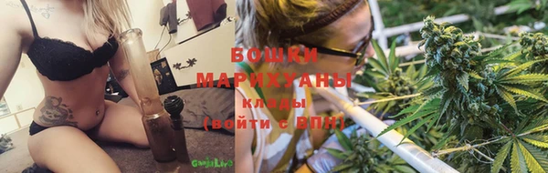мдпв Пестово