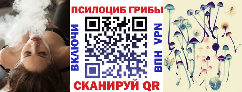купить закладку  Алексеевка  Псилоцибиновые грибы Psilocybine cubensis 