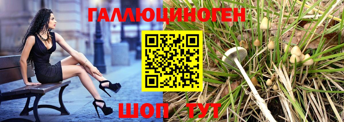 Алексеевка  Галлюциногенные грибы мицелий  Вход с VPN 