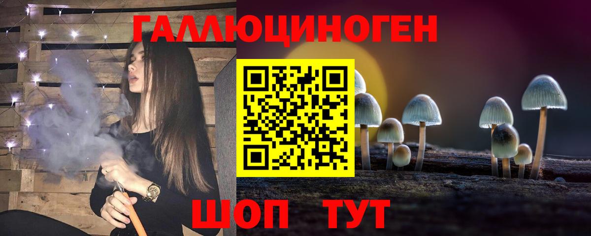 Псилоцибиновые грибы Psilocybe  Вход с VPN  Алексеевка 